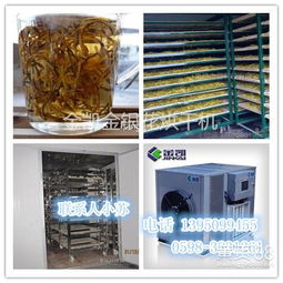 化工产品烘干设备与固化设备 市场报价概览及优质厂家选择指南